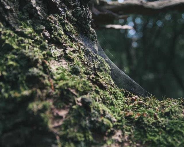 Best Project Management Tools